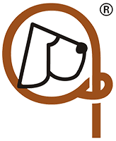 Logo Alvalley