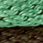 Green Multicolor