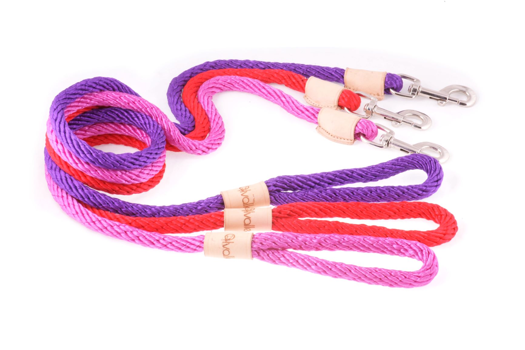 Sport Dog Snap Leads