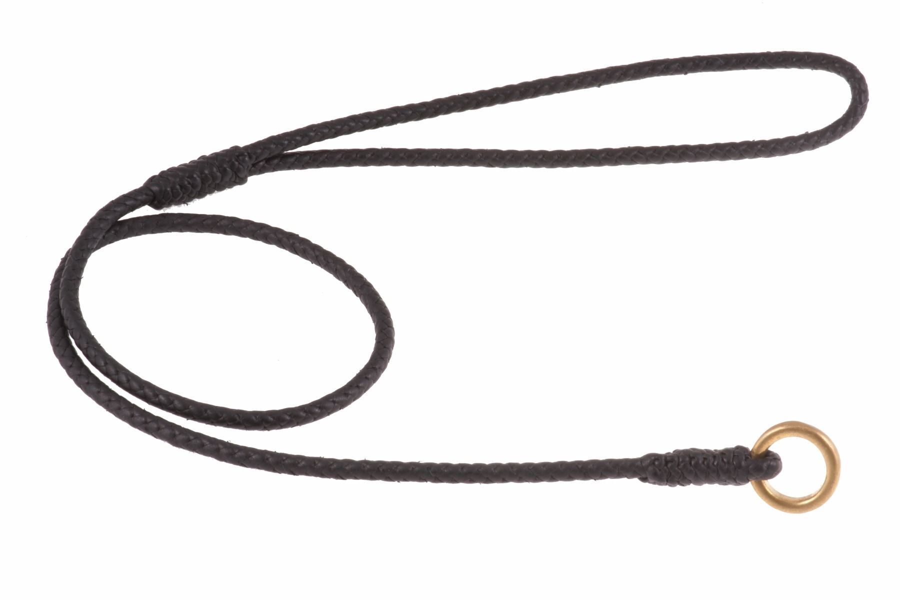 Braided Leather Dog Slip Leads