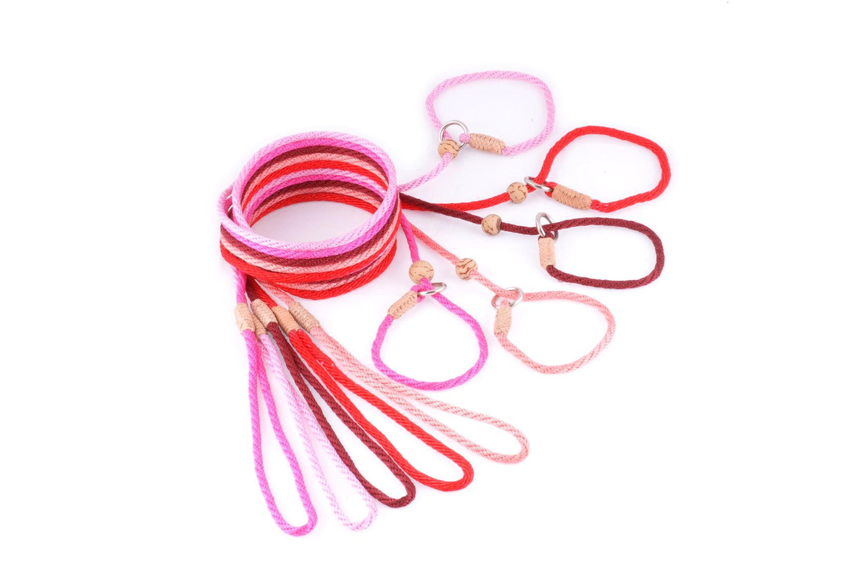 Nylon Dog Slip Leads With Stopper
