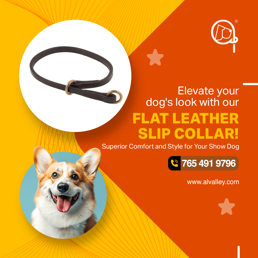 leather slip collar