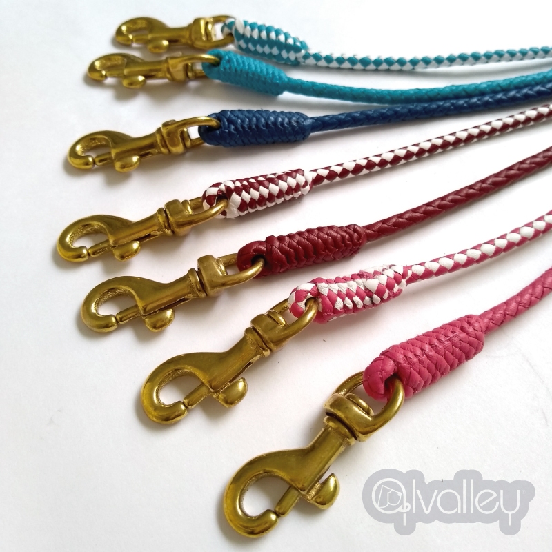 Braided Leather Dog Snap Leads