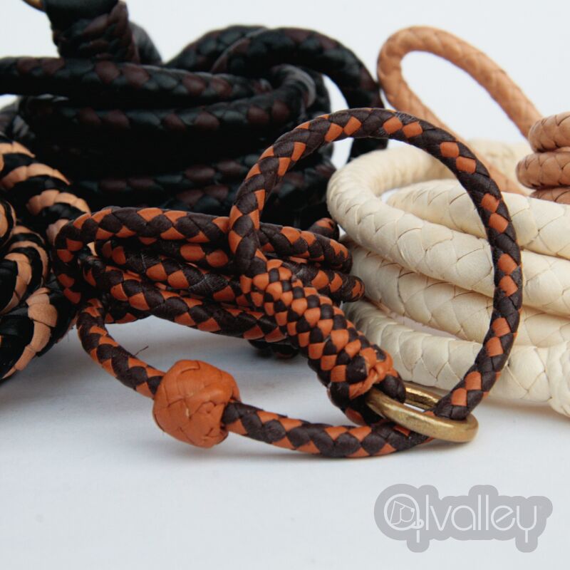 Braided Leather Slip Lead with Stopper