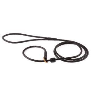 Braided Leather Slip Lead with Stopper