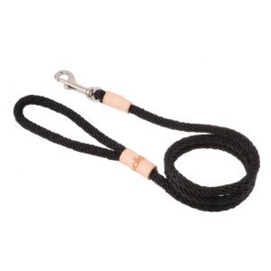 Sport Dog Snap Leads