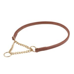 Flat Leather Collar with Martingale Chain