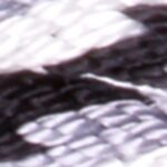 Black - White - Gray