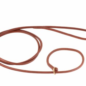 Round Leather Dog Leads