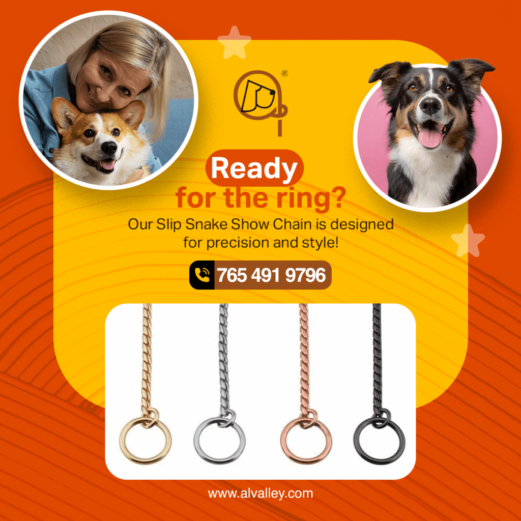 show collars for dogs