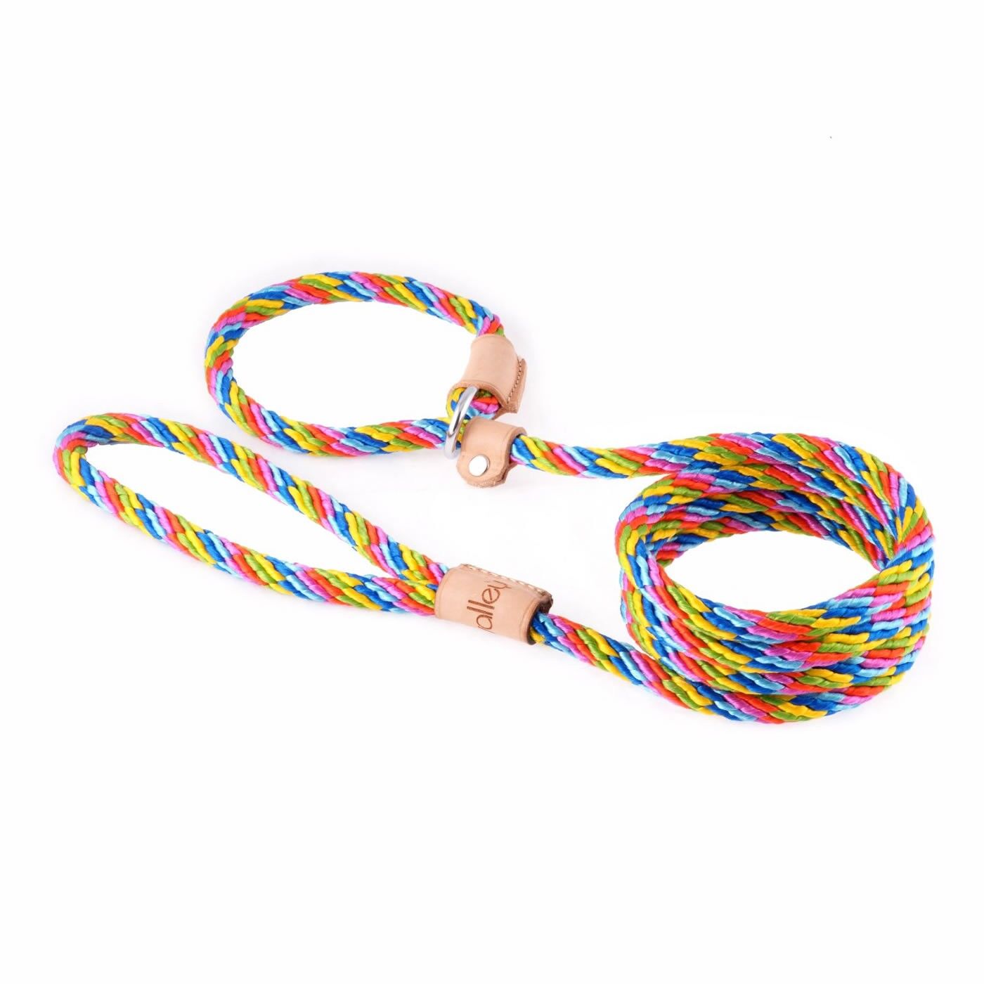 Sport Slip Lead With Stopper