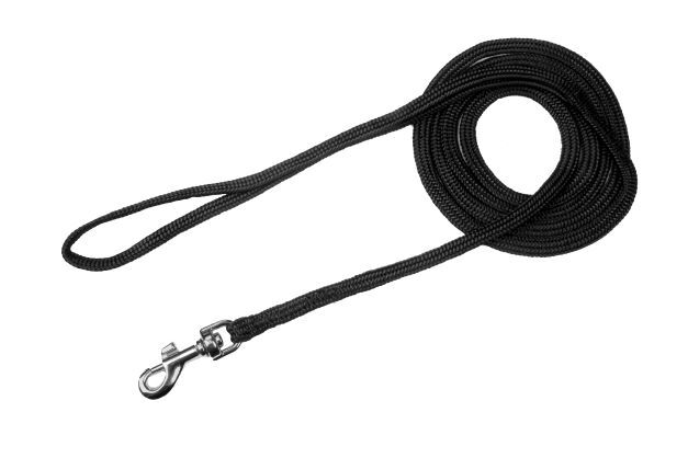 Show Snap Leads