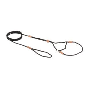 Nylon Martingale Dog Leads