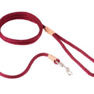 Nylon Dog Snap Leads