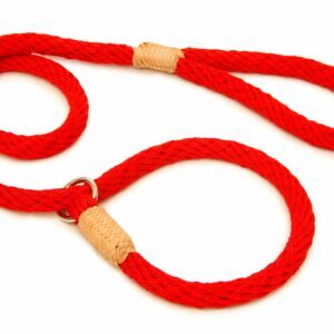 Nylon Dog Slip Leads