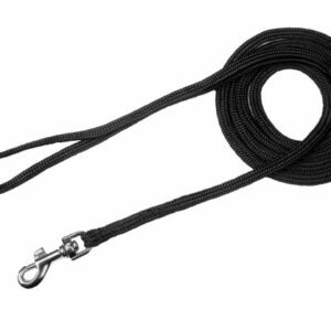 Dog Show Snap Leads